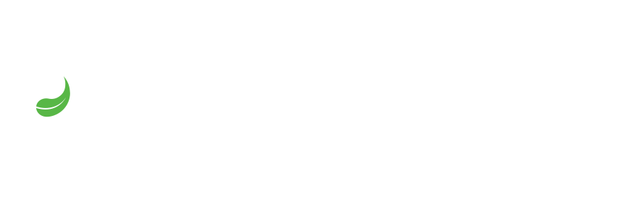 Panda Solutions Limited